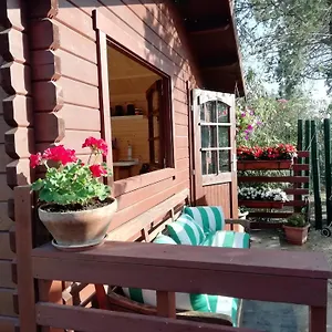 Appia Antica Guest house Rome